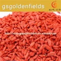 precio de la baya de goji / baya de goji de ningxia / baya de goji orgánica certificada a granel